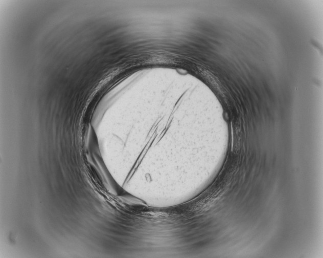 X0000097850435200804111132