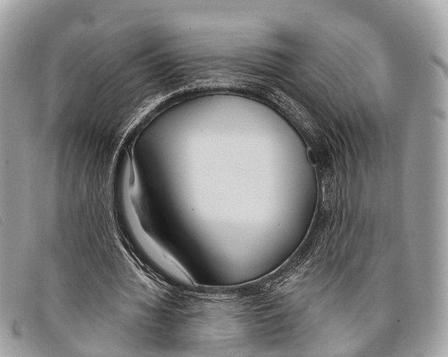 X0000097850436200804111132