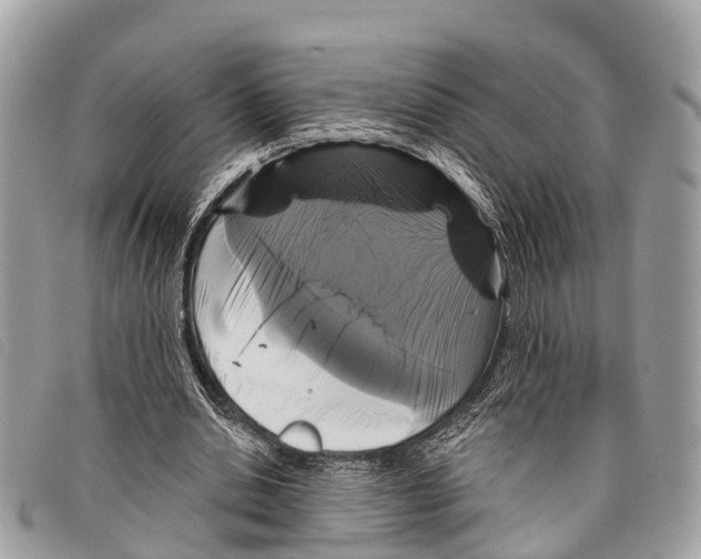 X0000097850438200804111132