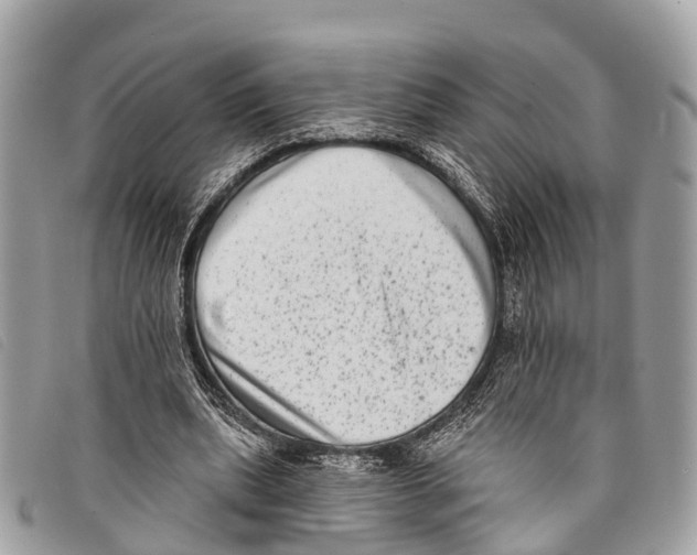 X0000097850439200804111132