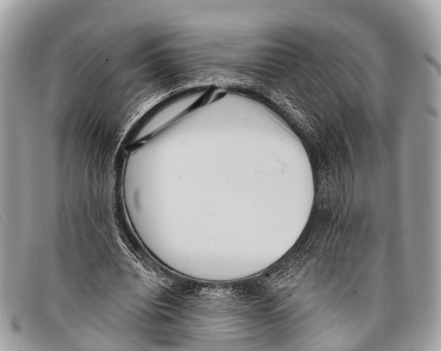 X0000097850440200804111132