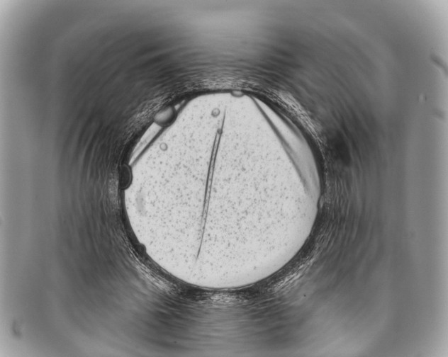 X0000097850441200804111132