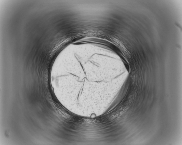 X0000097850442200804111132