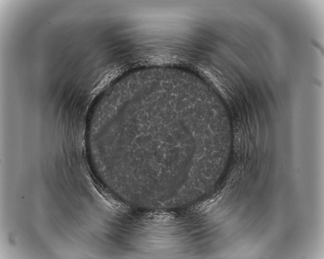 X0000097850443200804111132