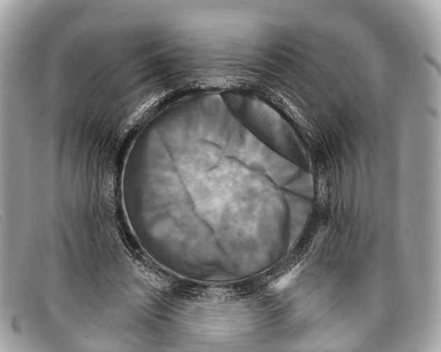 X0000097850444200804111132