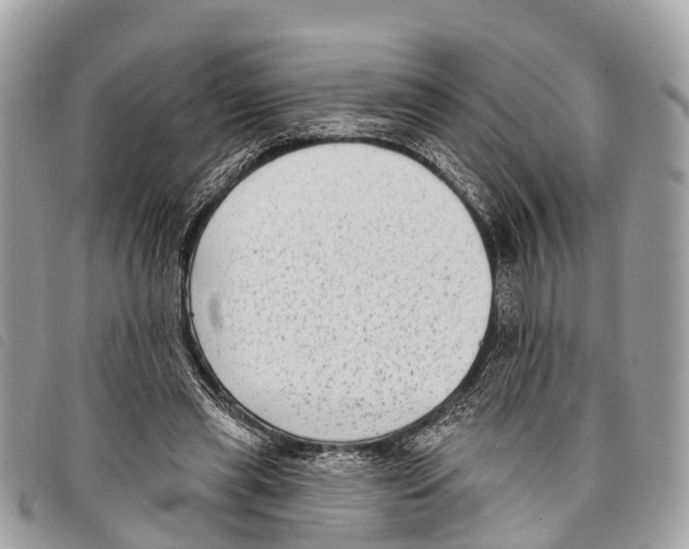 X0000097850445200804111132