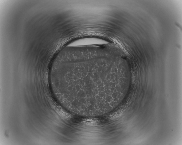 X0000097850447200804111132