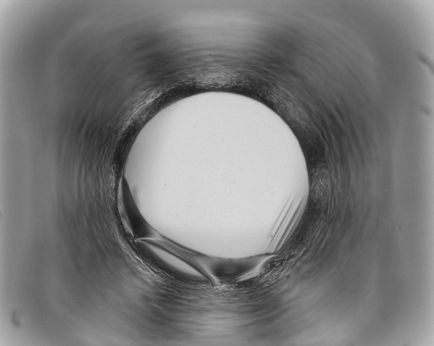 X0000097850448200804111132