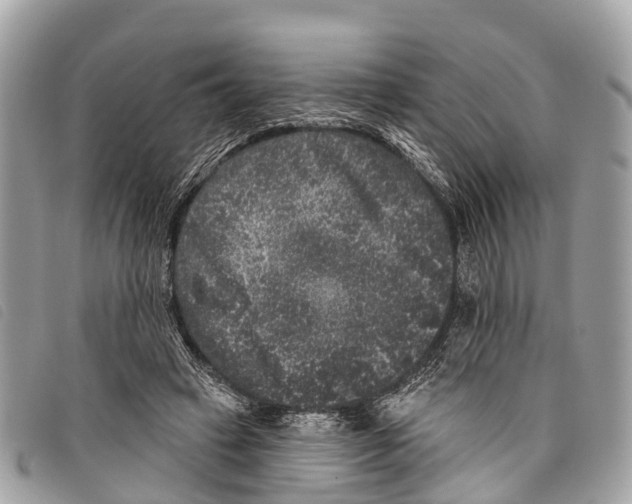 X0000097850449200804111132