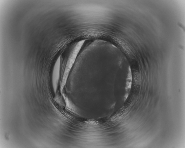 X0000097850451200804111132