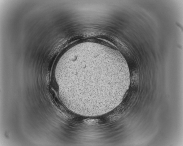 X0000097850452200804111132