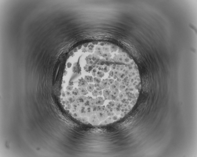 X0000097850453200804111132