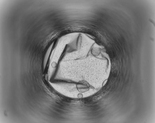 X0000097850454200804111132