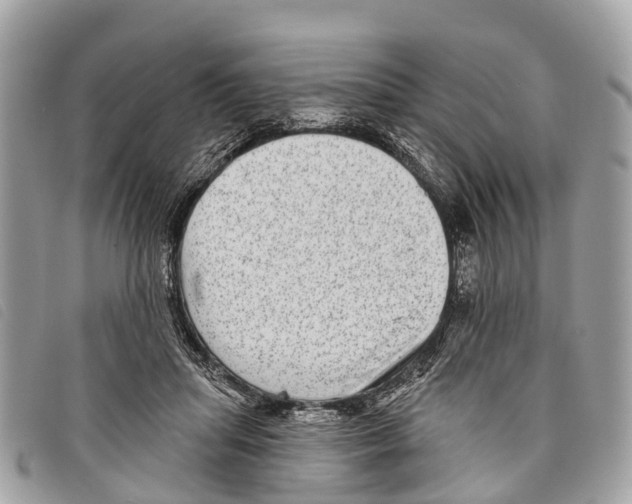 X0000097850455200804111132