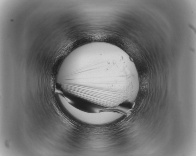 X0000097850456200804111132