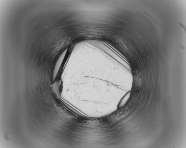 X0000097850458200804111132