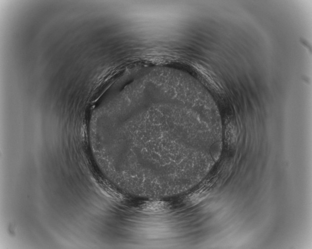 X0000097850459200804111132