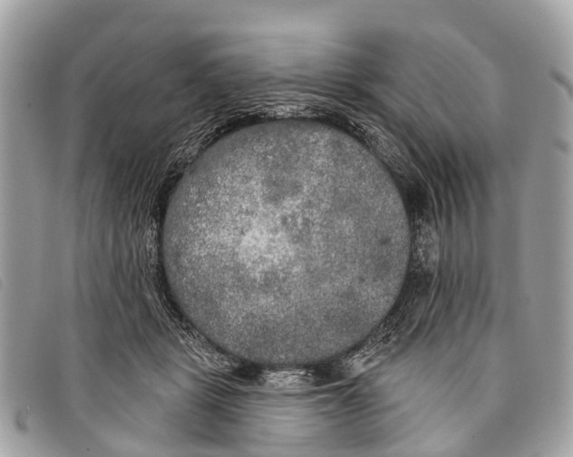 X0000097850461200804111132