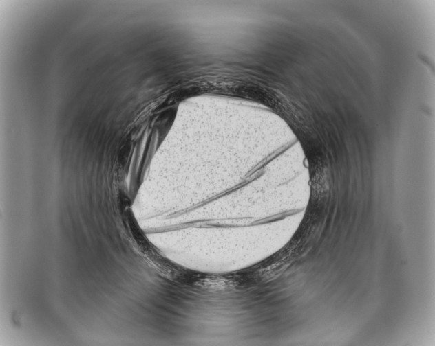 X0000097850464200804111132