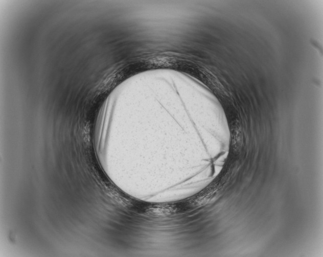 X0000097850466200804111132