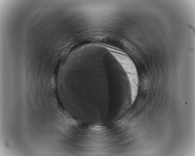 X0000097850467200804111132