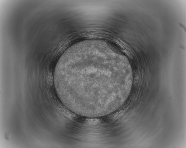 X0000097850469200804111132