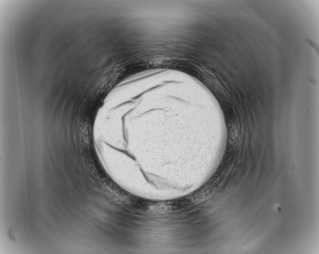 X0000097850470200804111132