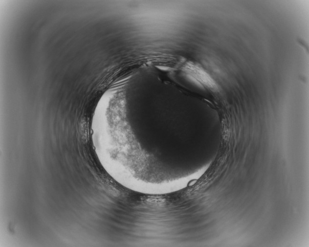 X0000097850471200804111132