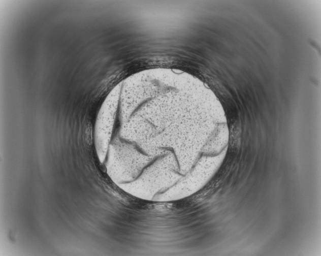 X0000097850474200804111132