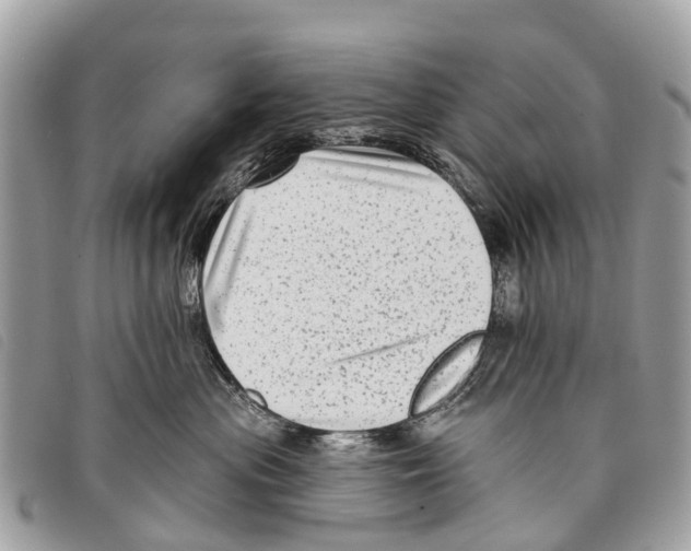 X0000097850477200804111132