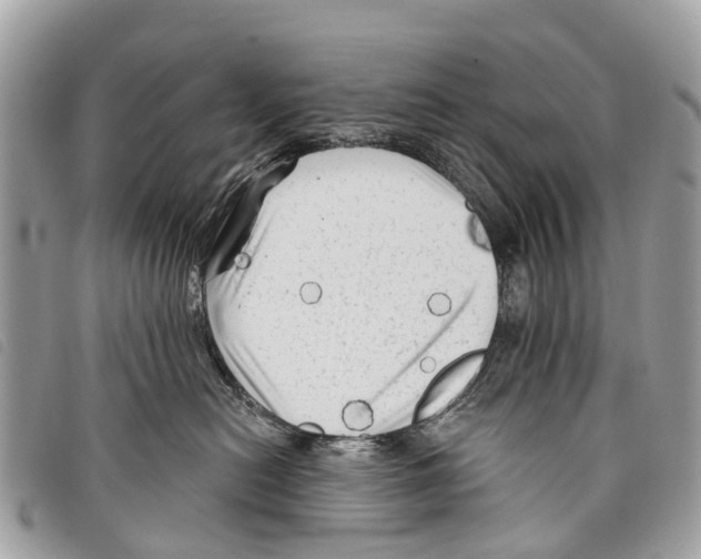 X0000097850478200804111132