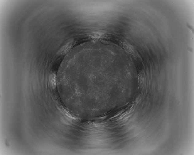 X0000097850479200804111132