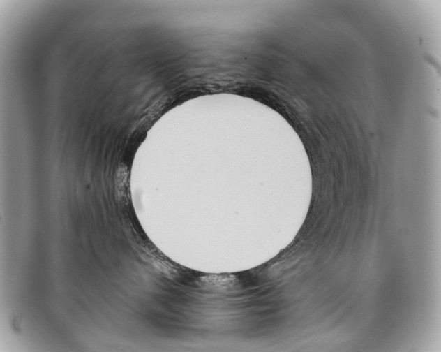 X0000097850480200804111132