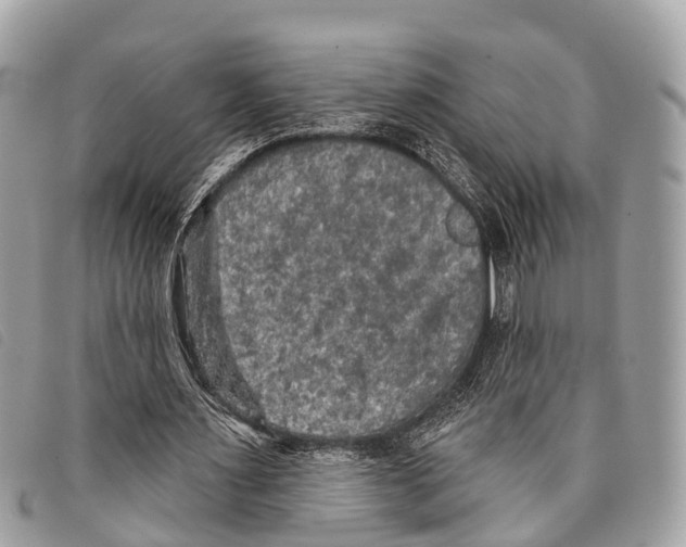 X0000097850483200804111132