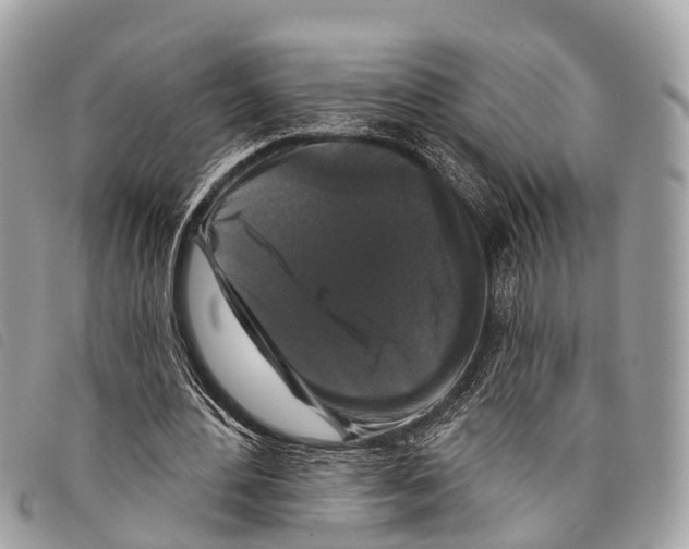 X0000097850484200804111132