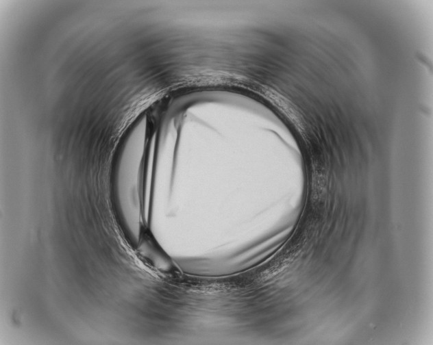 X0000097850485200804111132