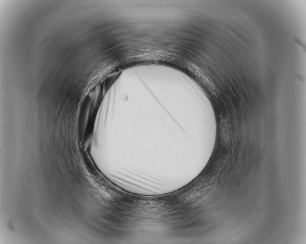 X0000097850486200804111132