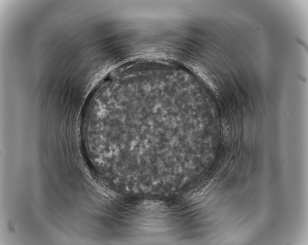 X0000097850487200804111132