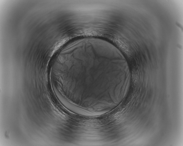 X0000097850488200804111132