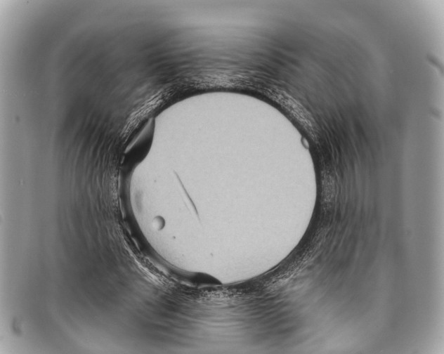 X0000097850489200804111132