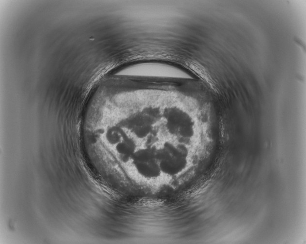 X0000097850491200804111131