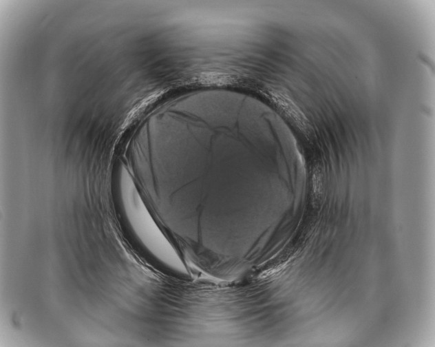 X0000097850492200804111131