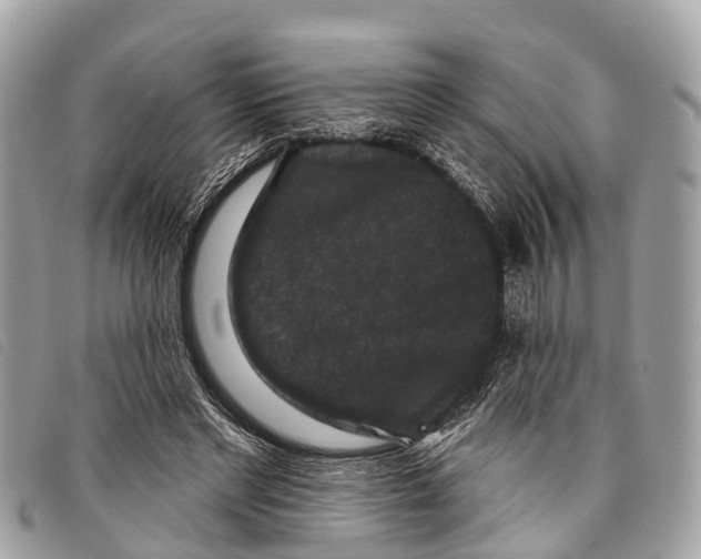 X0000097850493200804111131