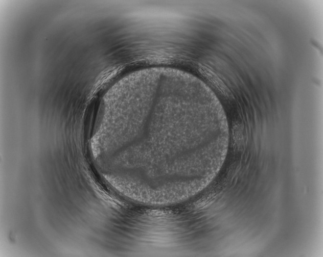 X0000097850494200804111131