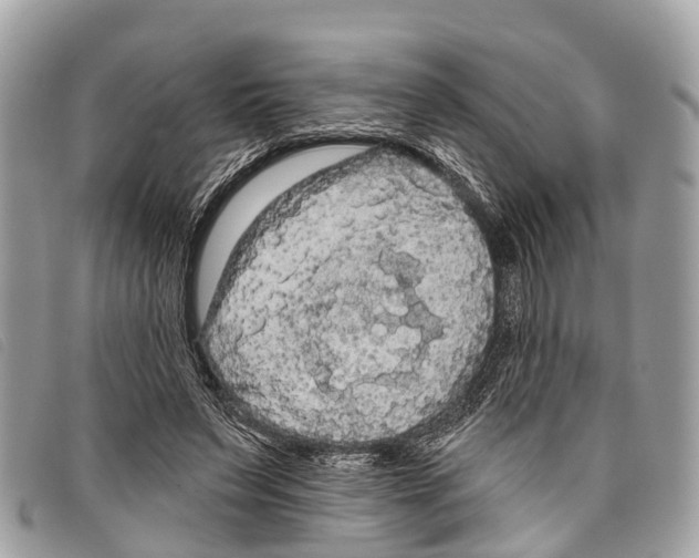 X0000097850495200804111131