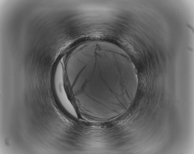 X0000097850496200804111131