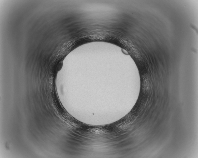 X0000097850498200804111131