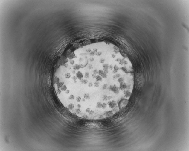 X0000097850499200804111131