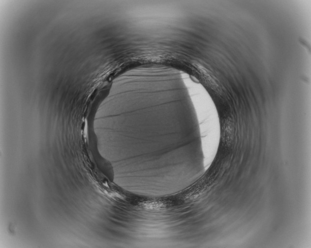 X0000097850500200804111131