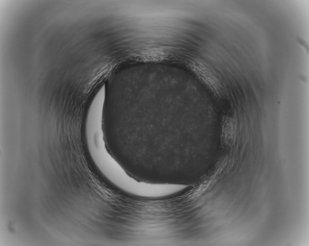 X0000097850501200804111131